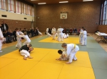 Veel judoplezier in Geesteren bij Randoricompetitie
